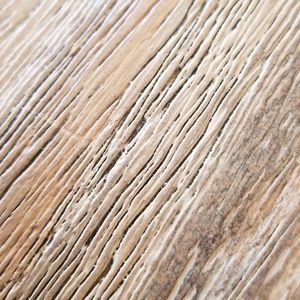 Meet your Posher, Frances